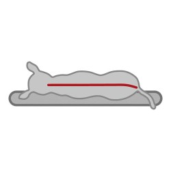 Cama Vital Lino 83*67 CM