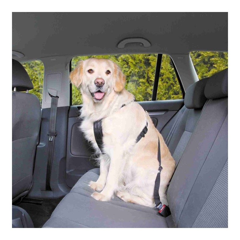 Arnés para Coche  	S	negro	30–60 cm/20 mm	30–60 cm