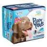 EMPAPADOR PUPPY PADS PET SANA 60 x 90
