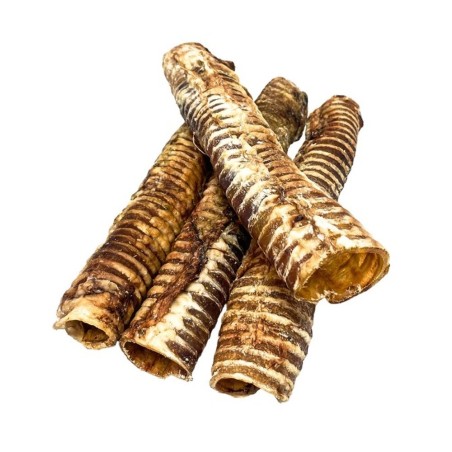 Fresh Raw Traquea de búfalo.